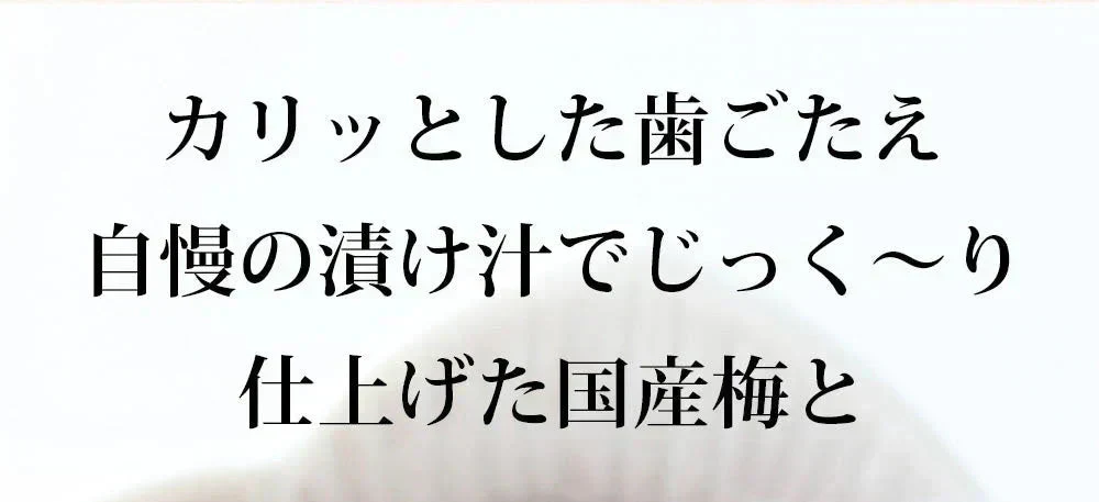 【3個セット】日本橋いなば園 国産梅ひじきふりかけ 70g ネコポス メール便送料無料
