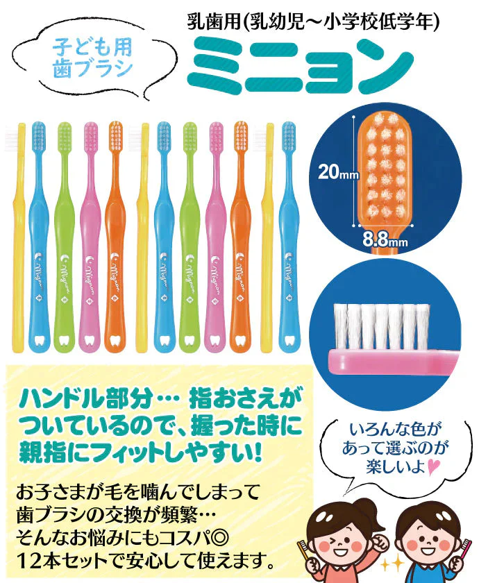 歯科用 Mignon-ミニョン- 子供用 歯ブラシ Mふつう 袋入り 12本入【Ciメディカル 歯ブラシ】【メール便送料無料】