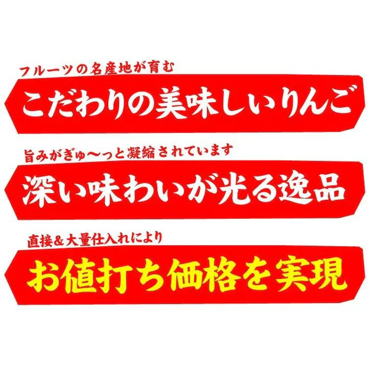 りんご 蜜入りサンふじ 山形産 10kg （発送予定：12月上旬より）