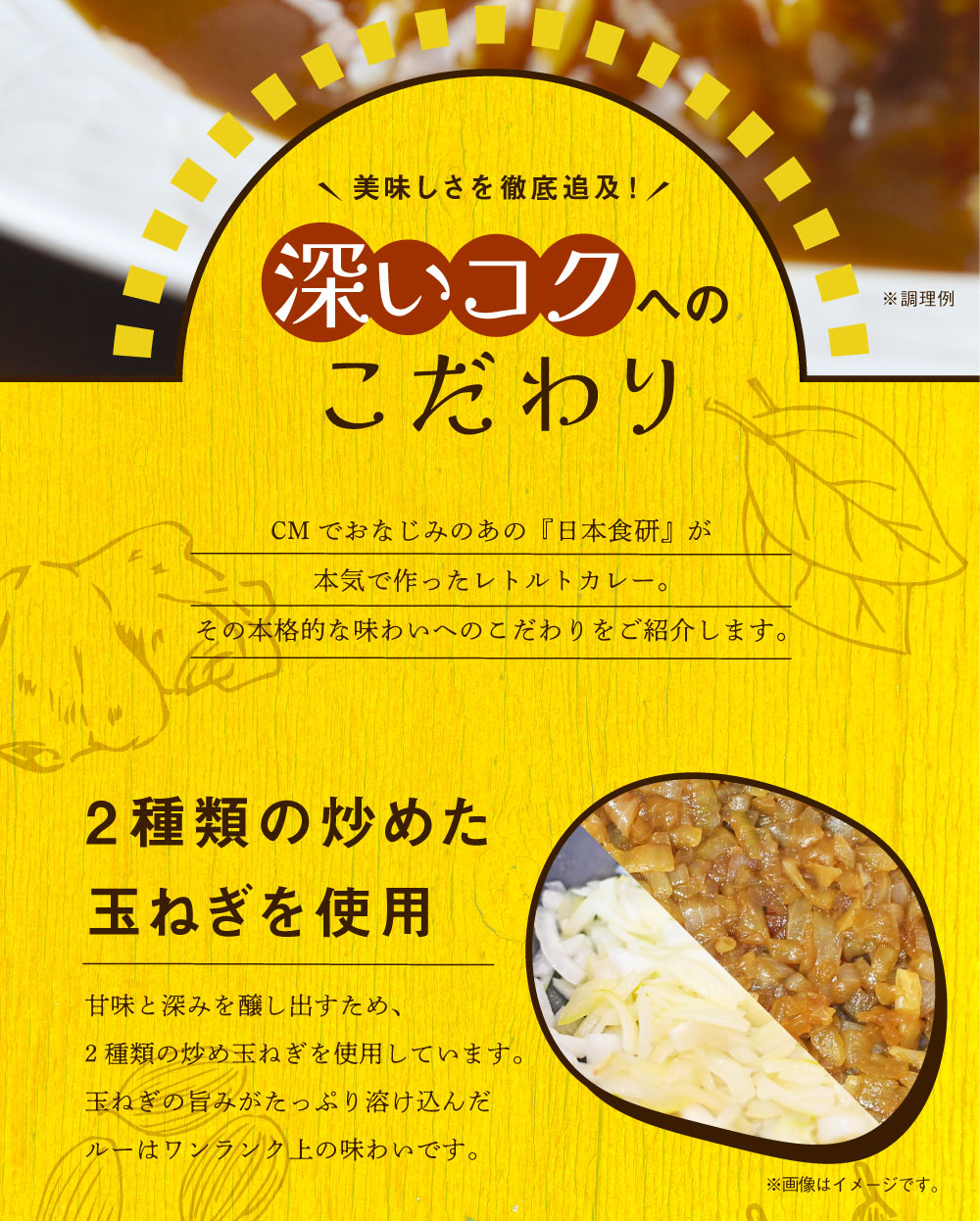 食研カレー 4食 (200g×4) 日本食研 中辛 送料無料 レトルトカレー 非常用 防災 備蓄 フード