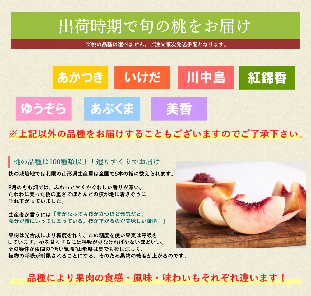 白桃 約5kg 13-20玉前後 もも ピーチ モモ 桃 くだもの フルーツ ご家庭用 光センサー選別 山形産 農協共選