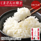 くまさんの輝き 無洗米 送料無料 計900g（300g×3袋） お試し 令和7年産 熊本県産 お米 白米 玄米 コシヒカリ ヒノヒカリ 森のくまさん