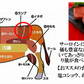 350g 2〜3人前 仙台牛ステーキ2種（サーロイン、ランプ） 贅沢食べ比べお試しセット