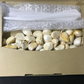 【良品】青森県産ホワイト六片種にんにく バラ 500g【高糖度】