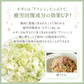 乾燥野菜 100g×1袋【青森のねぎ香るミックス】やさいマルシェ 無添加 ブドウ糖不使用 簡単 無駄なし 時短 青森産 アウトドア 災害常備菜 長期保存 食物繊維 国産