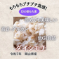 ★ダイシモチ / もち麦　10kg　令和7年岡山県産