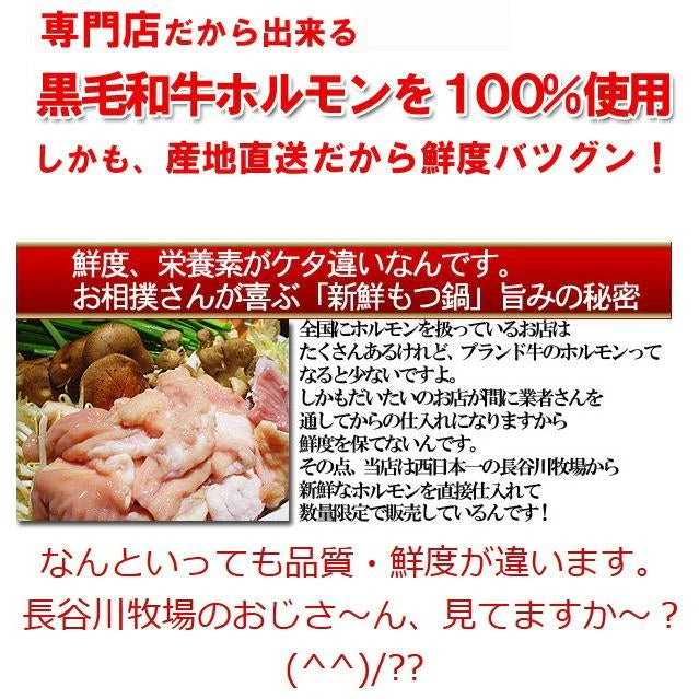 新鮮「もつ鍋セット」4～5人前