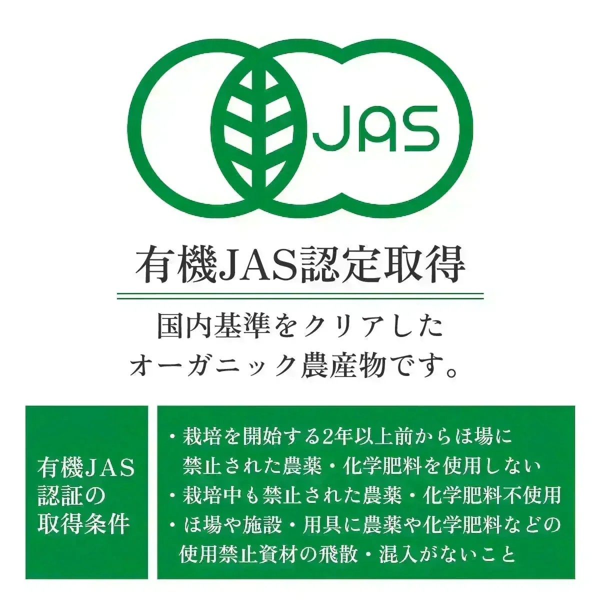 【ご注文殺到につき入荷待ち】 セイロン シナモン オーガニック 無添加 シナモンパウダー 100% 粉末 スーパーフード 美容 健康 温活 500g 100g x5 有機 JAS認定 粉末 スリランカ 香辛料