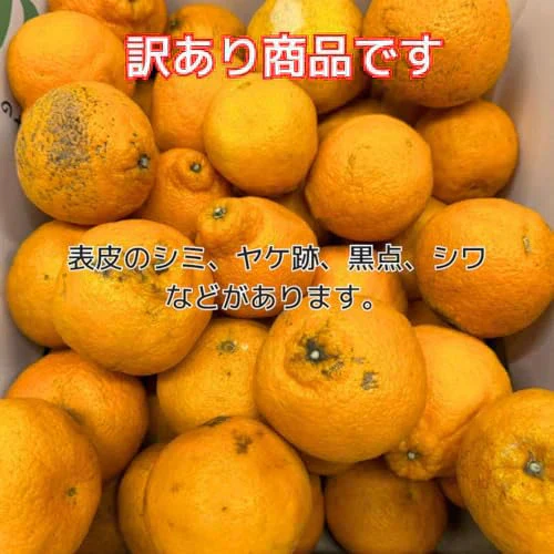 [みさわのやさい] デコポン 訳あり 2kg 国産 和歌山産 でこぽん 不知火 しらぬい 柑橘 甘い 箱 みかん