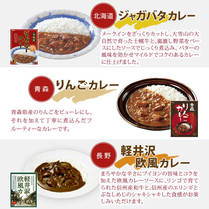 ご当地カレー 詰め合わせ 11種セット レトルトカレー カレーセット ビーフ 房総ポークカレー 黒毛和牛 りんごカレー