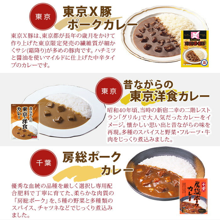 ご当地カレー 詰め合わせ 11種セット レトルトカレー カレーセット ビーフ 房総ポークカレー 黒毛和牛 りんごカレー