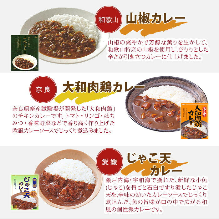 ご当地カレー 詰め合わせ 11種セット レトルトカレー カレーセット ビーフ 房総ポークカレー 黒毛和牛 りんごカレー