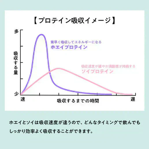 【ダークチョコ】女性向けプロテイン 500g  tive プロテイン ホエイプロテインとソイプロテインのＷプロテイン製法 ホエイ ソイ ダイエット 置き換えダイエット 送料無料