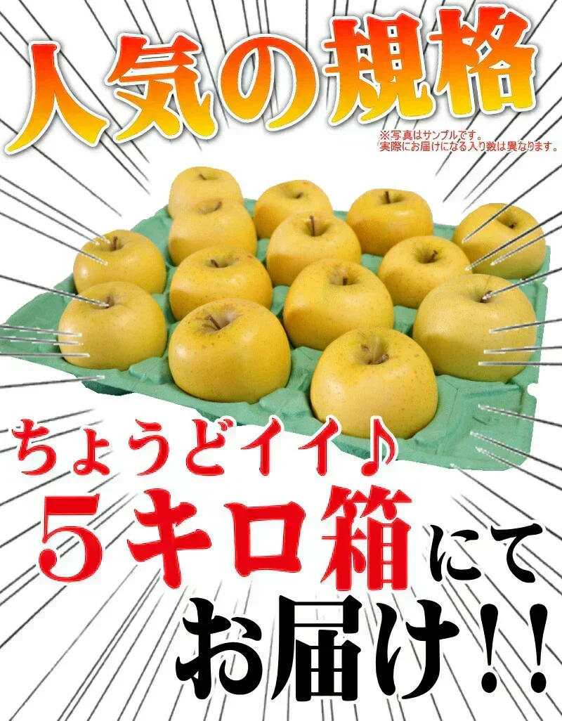 10月9日～発送！青森県産 りんご トキ 5kg箱 家庭用/訳あり ★トキ 家訳 5kg箱