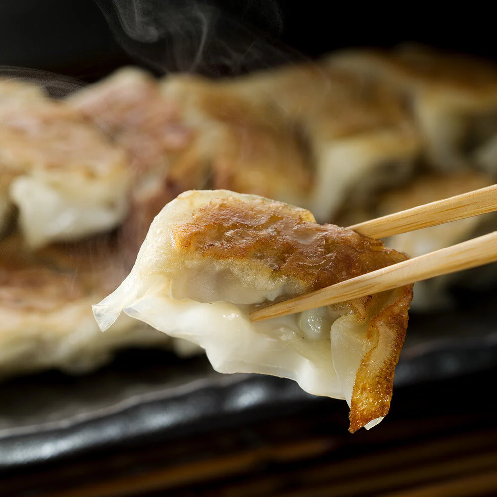 国産豚肉100％使用 カリっとジューシー【九州 ひとくち肉ぎょうざ】 便利な小分けタイプ（12個入×9パック）【送料込み】