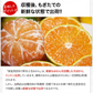 小玉 みかん 訳あり 送料無料 1.5kg 小粒 ミカン 柑橘 熊本 極早生 3s-sサイズ 家庭用 7-14営業日以内に出荷予定(土日祝除く)【ご新規さん限定商品】