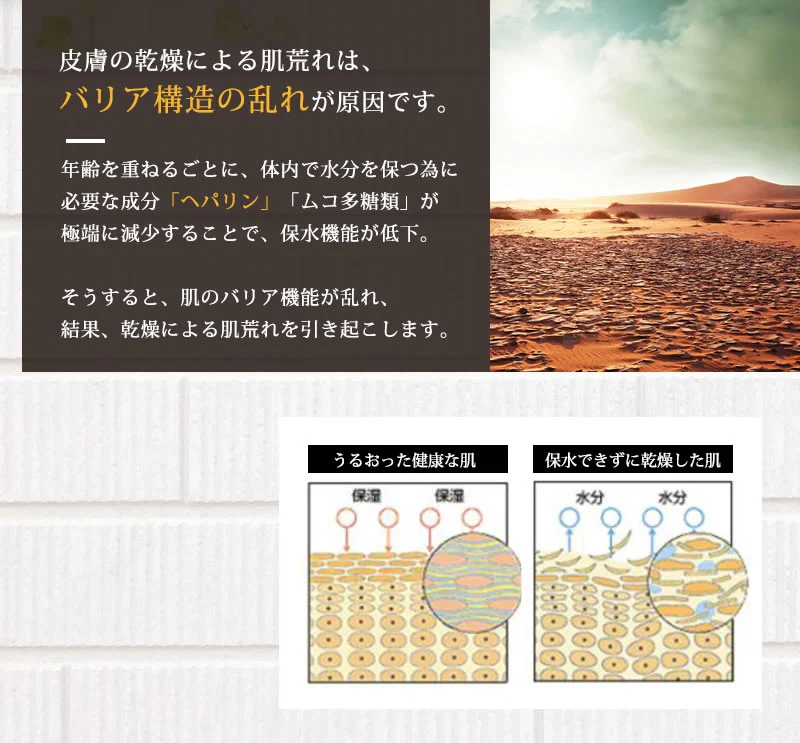 【医薬部外品】 ヘパリン類似物質 ヒルドプレミアム 50g  肌荒れ 乾燥肌 ハンドクリーム ヒルド クリーム メール便送料無料
