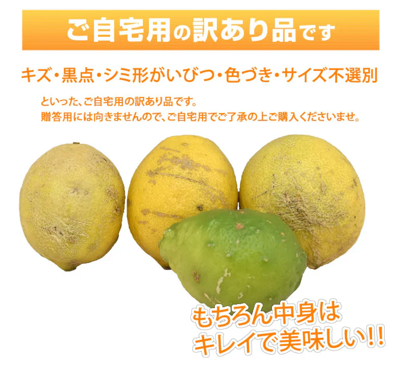 レモン 訳あり 国産レモン 送料無料 5kg 熊本県産 減農薬 防腐剤ワックス不使用 れもん グリーンレモン 国産