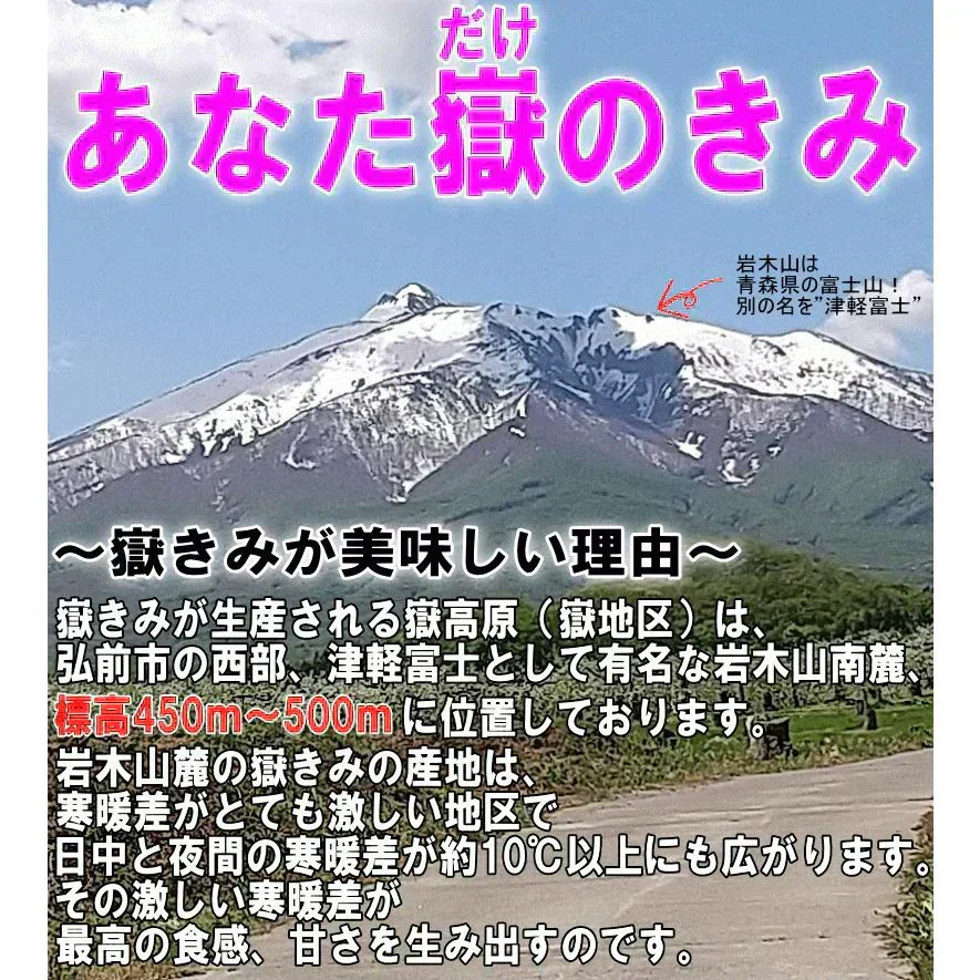 青森県産 嶽きみ 5本セット 真空フレッシュパック
