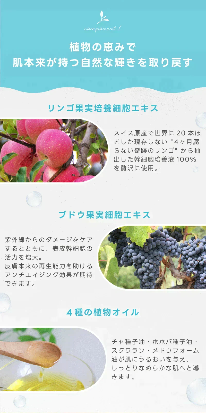 【2セット40枚入り】シートマスク フェイスパック パック 20枚 日本製 選べる2タイプ 発酵プロバイオティック エイジング エイジングケア ナイアシンアミド VC100 ホワイトマスク 5分 20代 30代 40代 50代 エイジングケア 保湿 高濃度 プロバイオティクス 美肌菌 ビフィズス菌 国産