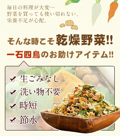 9種の国産野菜 乾燥野菜 完全無添加 完全国産 熊本県産 100g 野菜セット スープ 味噌汁 インスタント やさい 栄養 ドライベジ エアドライ 野菜 詰め合わせ 健康 ブドウ糖不使用《3-7営業日以内に発送予定(土日祝日除く)》