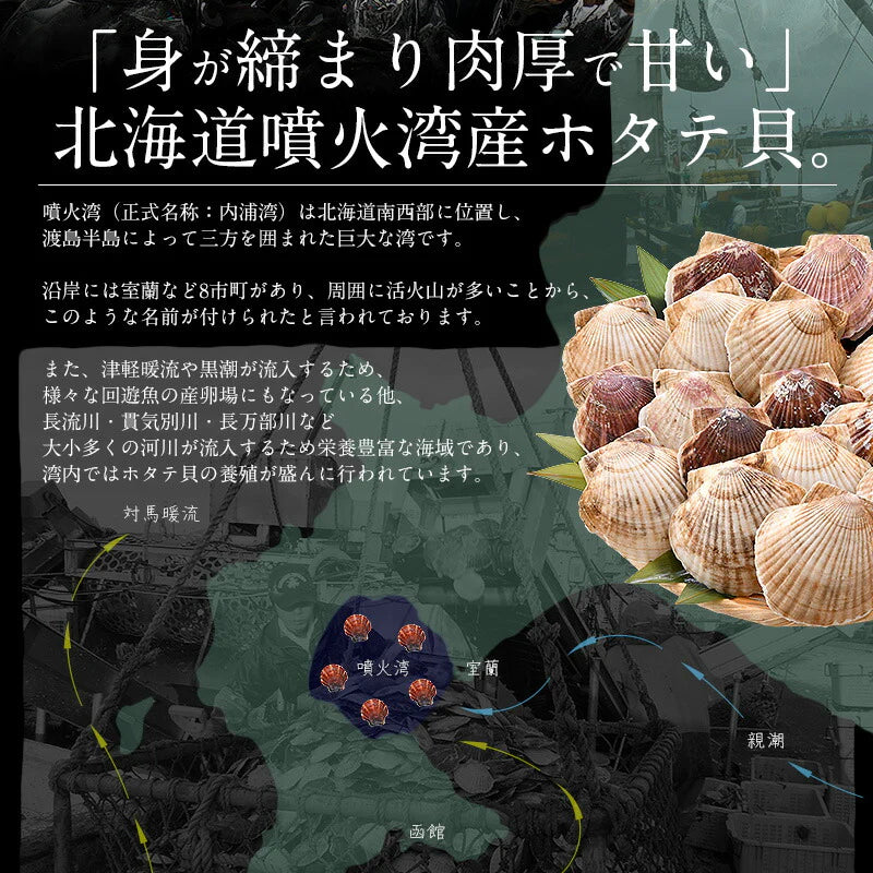 ホタテ 貝柱 1kg（約36〜40粒入り）ほたて 帆立［送料無料］ 冷凍ホタテ 肉厚 甘い ホタテ貝 ホタテ貝柱 冷凍 美味しい 1キロ 北海道 グルメ 海産物 海鮮 貝 お取り寄せグルメ 贈り物 母の日 プレゼント ギフト  母の日思いの 健康 実用的 父の日 子供 孫
