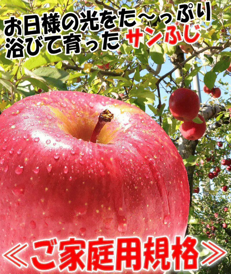 青森県産 りんご サンふじ 2kg箱 家庭用 ★サンふじ 家 2kg 箱