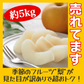 梨 訳あり（豊水・秋月・新高・愛宕など）約5kg（約5～24玉）送料無料【ゲリラセール】