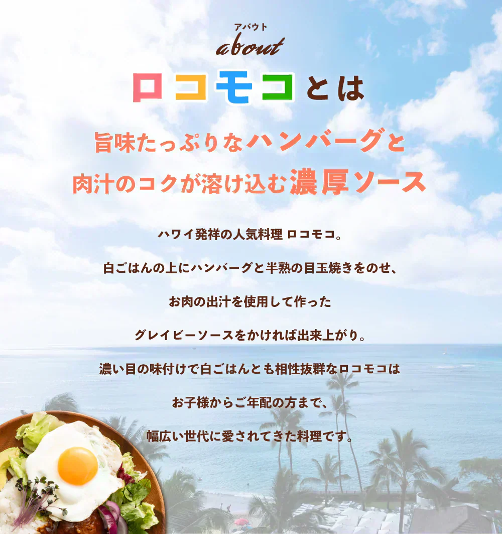 ロコモコ丼の素 4食分 送料無料 食品 お試し ギフト お取り寄せ グルメ レトルト 【ご新規さん限定商品】