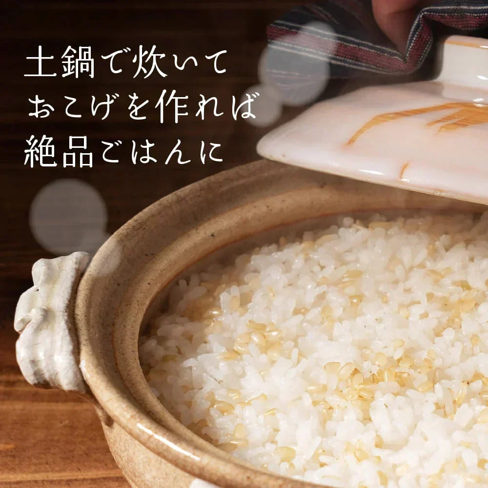 圧倒的に旨い！雑穀米本舗 国産 発芽玄米 1.6kg(400g×4袋) 人気サイズ 無添加 無着色 送料無料