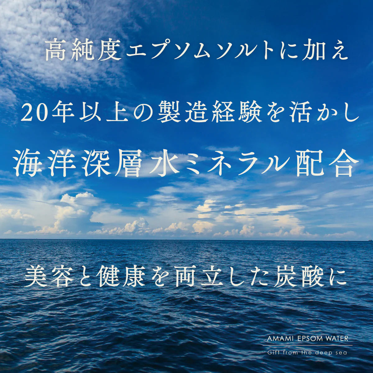美と健康の炭酸水 エプソムウォーター 500ml 48本