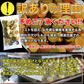 【7/13以降順次出荷となります】豆乳おからクッキーたっぷり６００g(200g×３袋) 砂糖・卵・小麦粉・乳不使用 １枚約１９kcal 送料無料 メール便