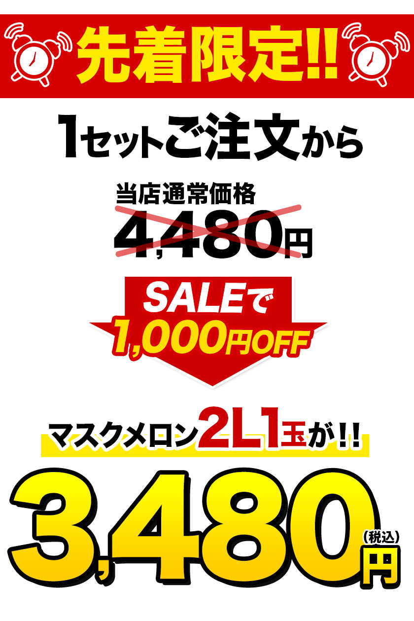 九州産 マスクメロン 2Lサイズ 秀品 1玉 約1.2kg 送料無料 熨斗対応 ギフト プレゼント メロン 贈答 フルーツギフト 贈り物  《7-14営業日以内に出荷予定（土日祝除く）》