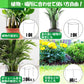 植物サポートリング 支柱 花ささえ ガーデニング 園芸 観葉植物