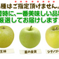 特選 青りんご 10kg 品種おまかせ  青森産 ご家庭用【10月上旬発送】