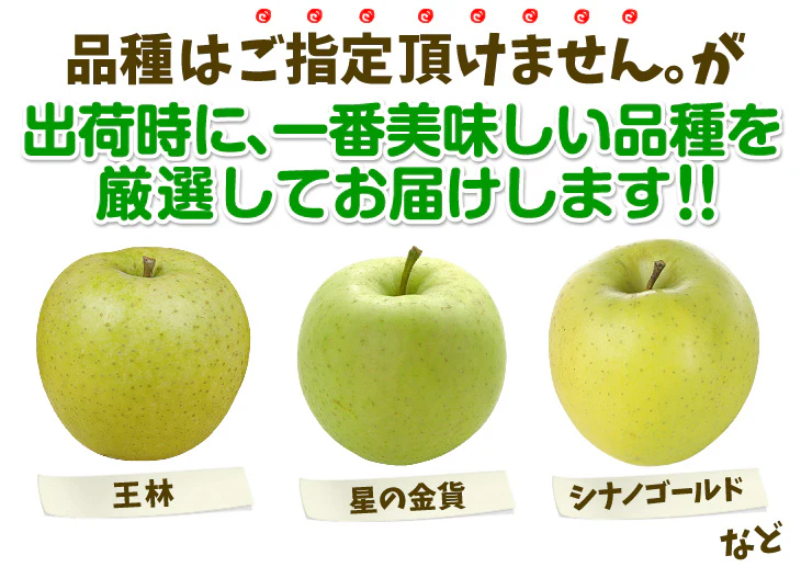 特選 青りんご 10kg 品種おまかせ  青森産 ご家庭用【10月上旬発送】