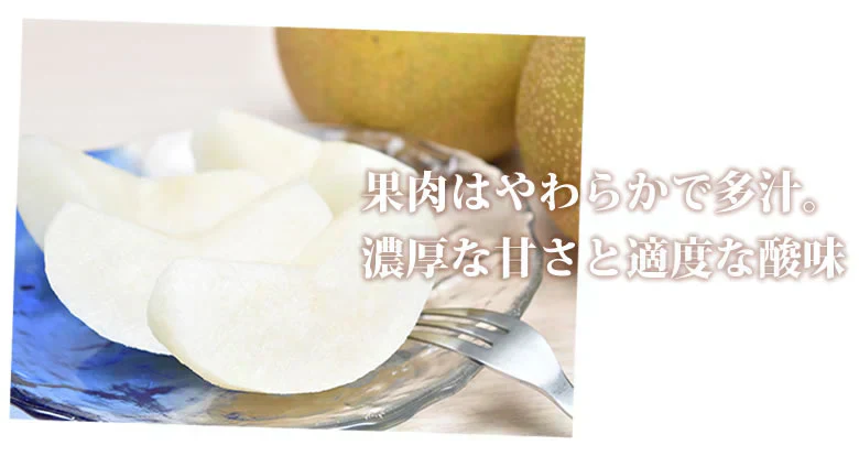 【9月中旬～下旬頃より順次出荷】梨 秋月 送料無料 秀品 約3kg 6〜10玉 熊本県産 お取り寄せ フルーツ ナシ なし 幸水 秋月 新高