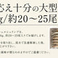 ソフトシェル シュリンプ 500g 20〜25尾 殻付き えび 冷凍えび バナメイえび 海鮮 冷凍 海老 まとめ買い 大量 贈答 エビ おすすめ バナメイ［送料無料］