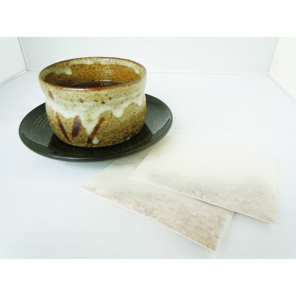 九州産 菊芋とごぼうの混合茶【ネコポス便】【送料込み】【お届け日指定不可】