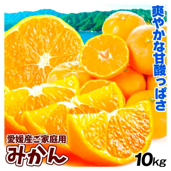 みかん　愛媛産　10kg　早生　サイズおまかせ　ご家庭用