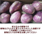 訳あり 紅はるか 箱込3キロ(2.7kg+保証分300g) 新物 サイズおまかせ さつまいも 蜜芋 熊本産 送料無料　80サイズ