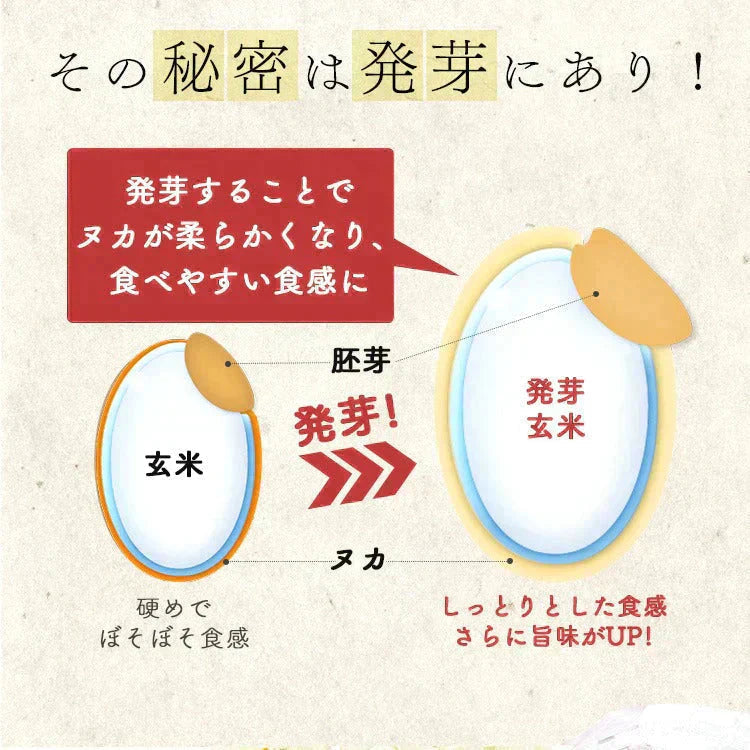 【カートアップNG】発芽玄米ごはん アイリスオーヤマ 150g×9P
