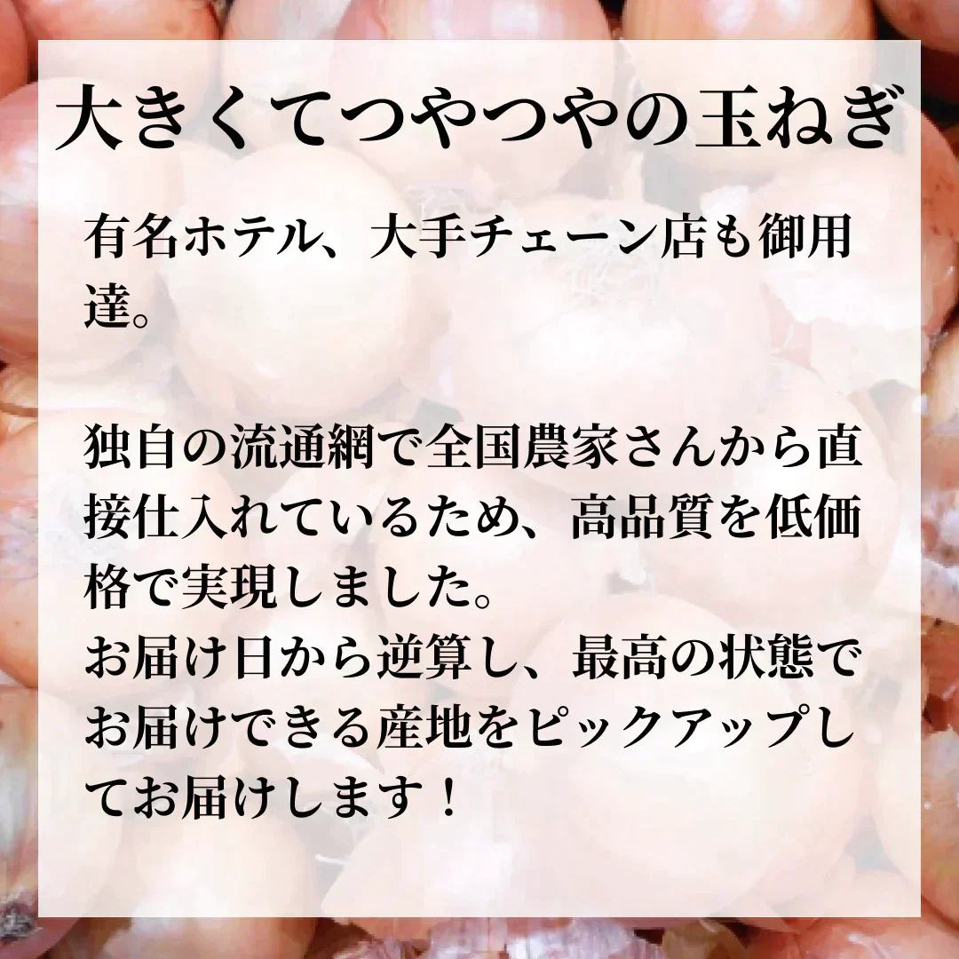 【東日本限定配送（北海道〜兵庫県まで）】つやつやたまねぎ 1.5キロ 有名ホテルや大手チェーン店も御用達 玉ねぎ 玉葱【カウシェファーム収穫対象商品】