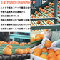 愛媛産 甘平 わけあり 2.5キロ サイズおまかせ みかん【3月上旬順次配送】
