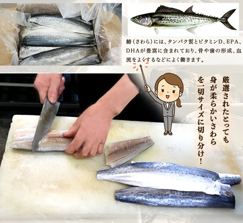 さわらの煮つけ(10パック)