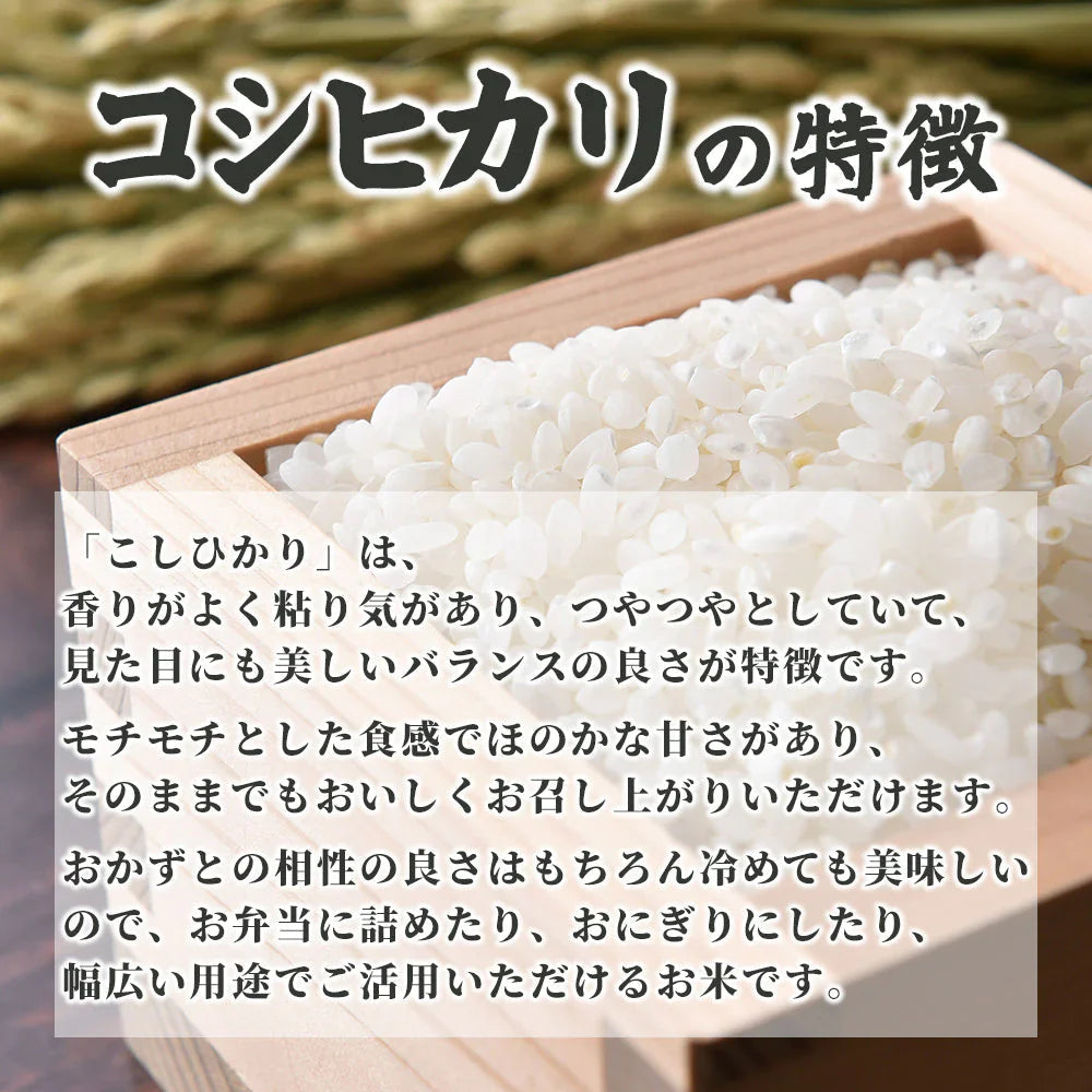 【白米】匠の一粒 コシヒカリ 90kg(10kg×9袋) 国産 国産コシヒカリ(ブレンド)100％ 送料無料 精米工場からの直送品