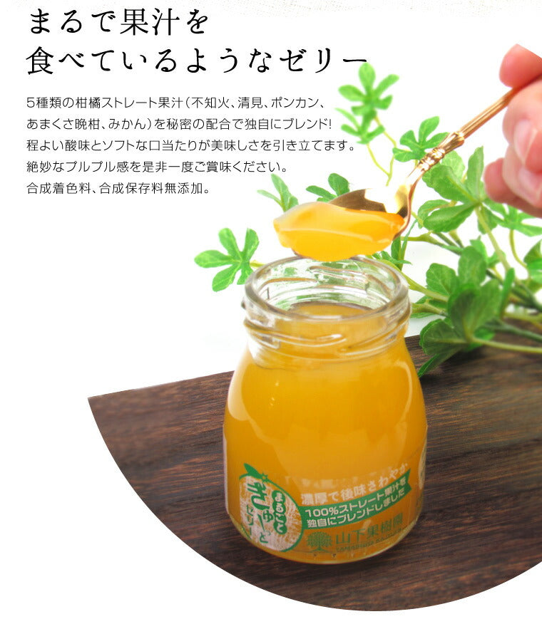熊本県名産品 果樹園のゼリー８本セット