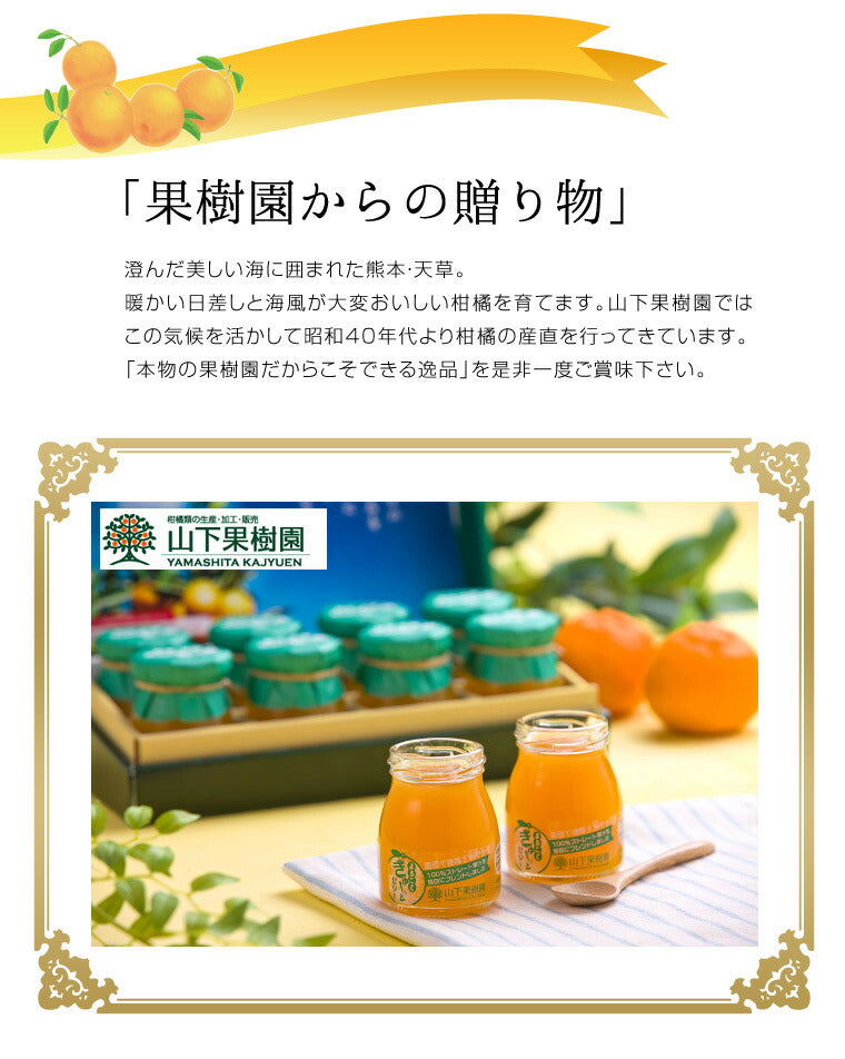 熊本県名産品 果樹園のゼリー８本セット