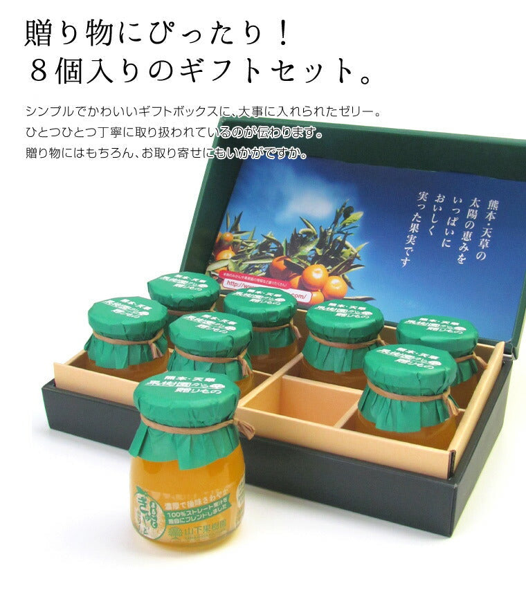 熊本県名産品 果樹園のゼリー８本セット