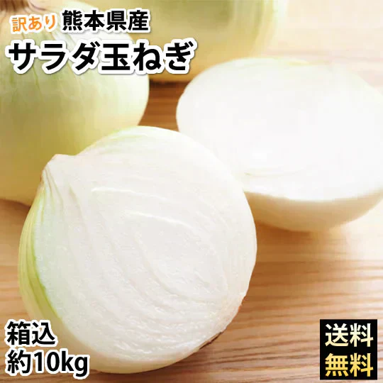 玉ねぎ サラダ玉ねぎ 訳あり 送料無料 10kg 箱込 (内容量9kg+不良補償分500g)  2S〜3L 熊本県産 お取り寄せ お取り寄せグルメ 玉葱 たまねぎ 野菜